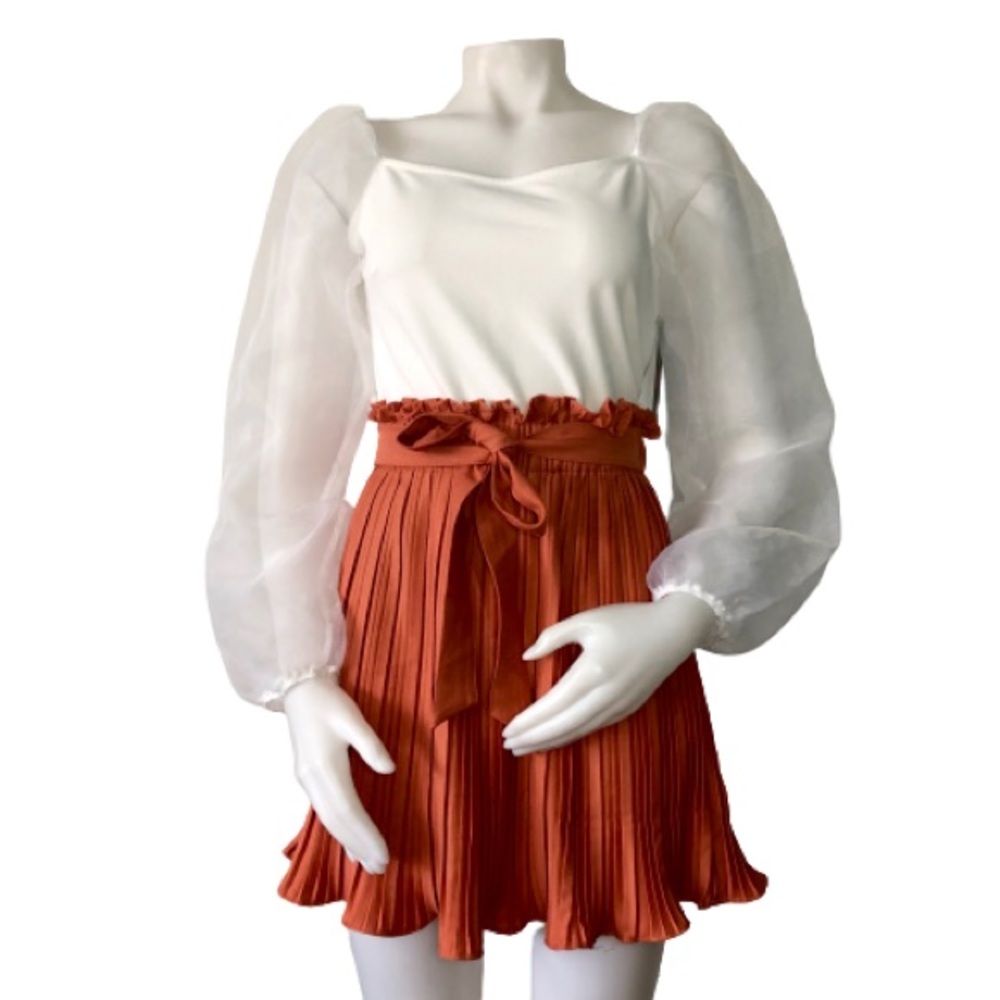 NWT Coral Mini Pleated Skirt